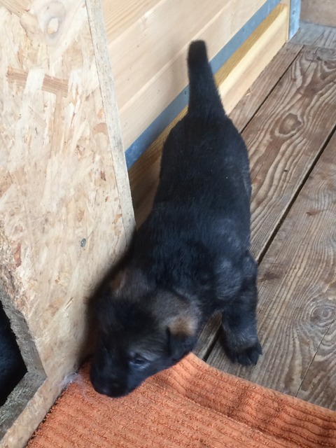 Im Alter von 20 Tagen