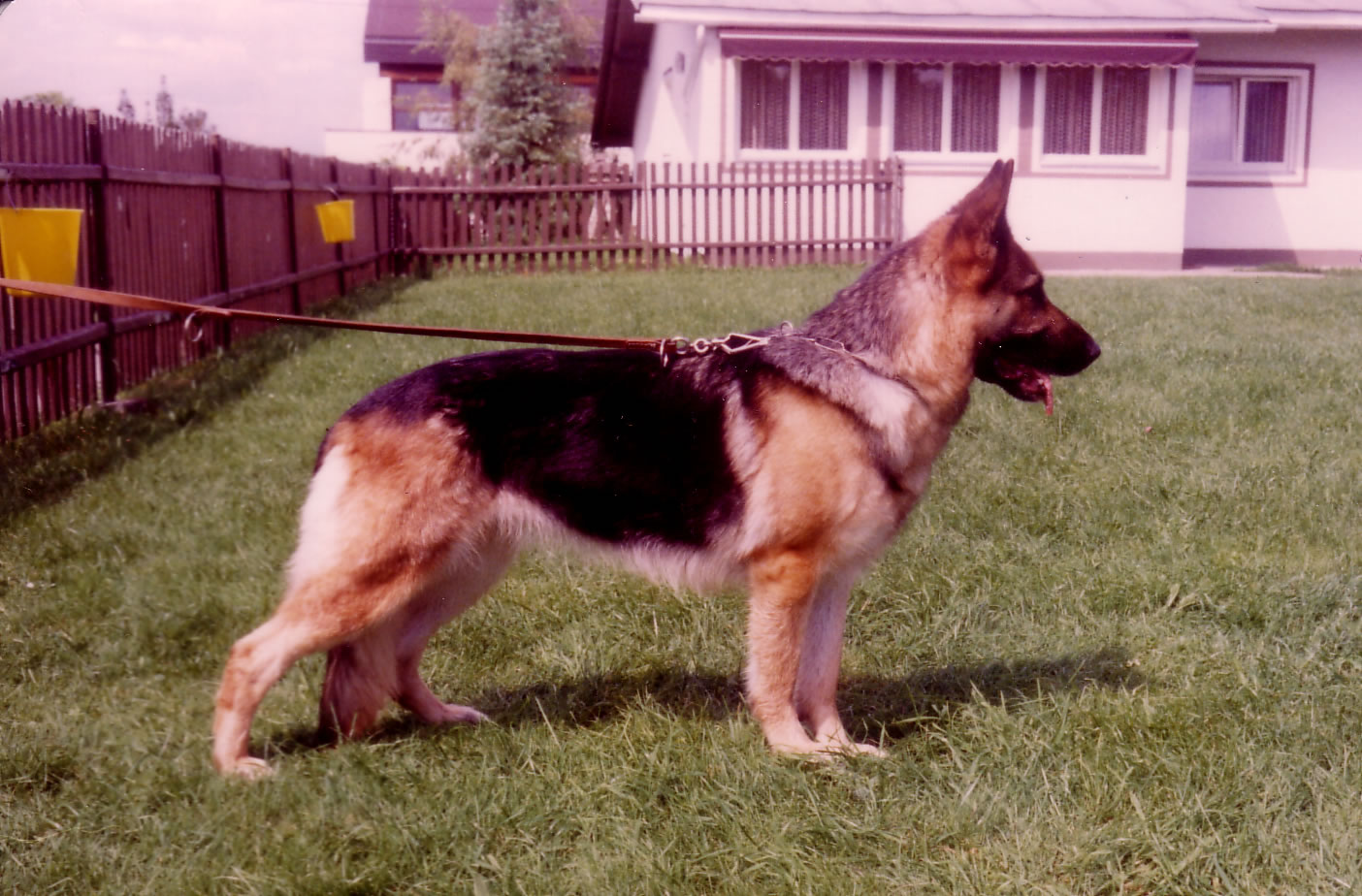 Asja von der Eisquelle